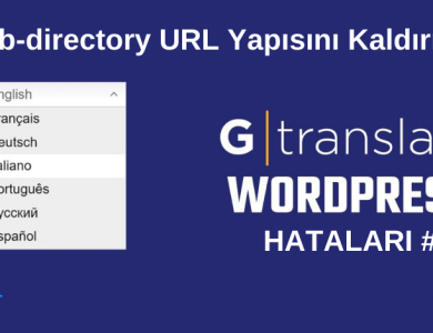 Sub-directory-hatalari