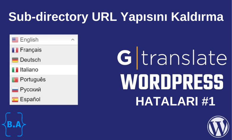 Sub-directory-hatalari